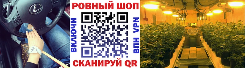 Купить наркотики сайты Александровское Кокаин  APVP  Канабис  Гашиш 