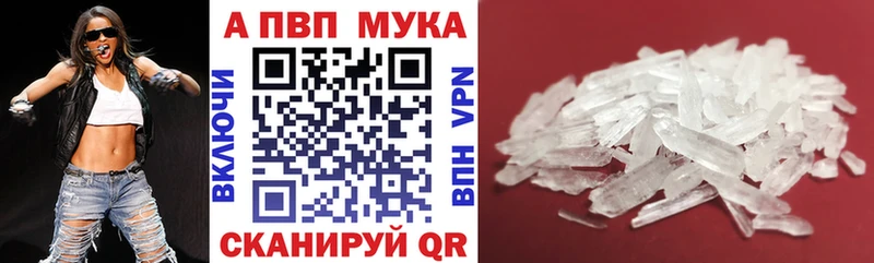 сколько стоит  ссылка на мегу   Альфа ПВП СК КРИС  Александровское 