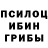 Галлюциногенные грибы Cubensis Dmitry Ananchenkov