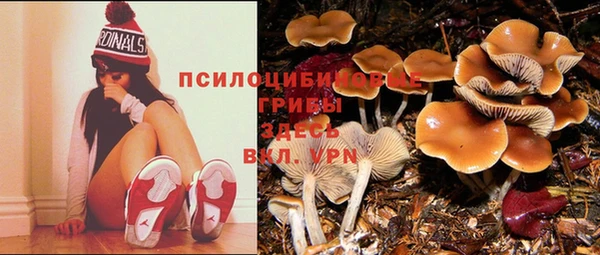 марки nbome Алексеевка