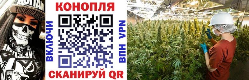 Бошки марихуана Ganja  продажа наркотиков  Александровское 